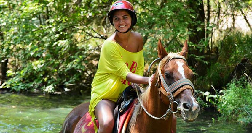 Didim At Safari